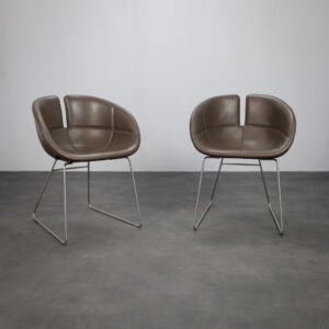 Moroso Fjord